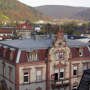 Blechdach auf historischem Gebäude